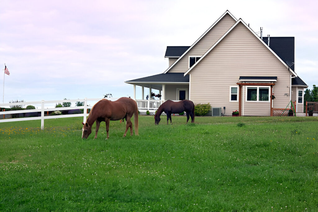 ranch