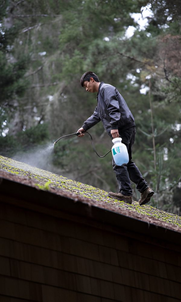 roof cleaning chelan